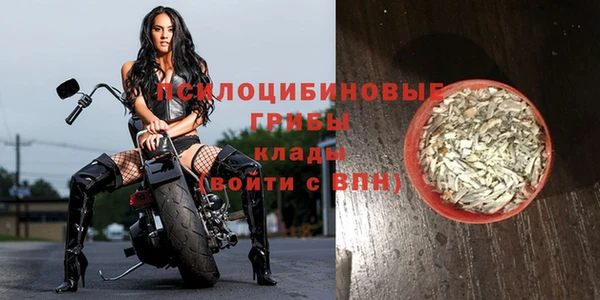 прущая мука Верея